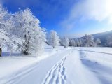 20 гыйнварга һава торышы фаразы