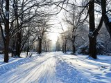 Прогноз погоды на 30 января