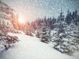 Прогноз погоды в Челнах на 20 января