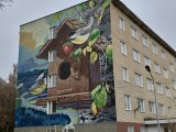 Һава торышы фаразы