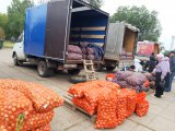 Шәһәр ярминкәләрендә 600 тоннадан артык продукция сатылган