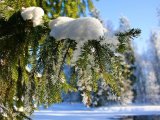 Прогноз погоды в Набережных Челнах на 9 декабря