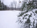 Прогноз погоды на 16 февраля