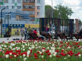 Метеорологический прогноз на 16 августа