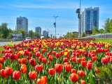 Погода в Набережных Челнах на 14 мая