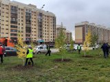 Яр Чаллыда урыны белән кырау төшәргә мөмкин
