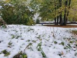 Татарстанда 1-2 километрга кадәр күз күреме начараю белән буран көтелә