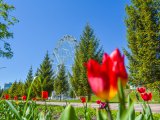 Прогноз погоды на первый день лета