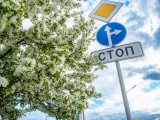 На День молодежи в Набережных Челнах ограничат движение