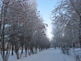 Һава торышы фаразы