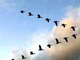 Татарстанда көньяк-көнбатыштан исүче җилнең тизлеге секундына 15-18 метрга кадәр җитәргә мөмкин
