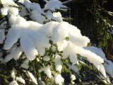 В Набережных Челнах прогнозируется -11..-14˚