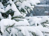 Чаллылыларга һава торышындагы үзгәрешләр турында хәбәр итәләр