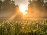 Прогноз погоды на 29 мая в Набережных Челнах