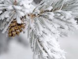 В Набережных Челнах ожидается похолодание до -28°