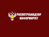 Для челнинских предпринимателей организуют день приема