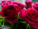 Бөек Ватан сугышы ветераннары 95 яшьлек юбилей уңаеннан котлаулар кабул итә