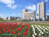 Татарстанда яшен һәм көчле җил көтелә