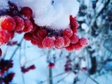 Прогноз погоды на 25 января