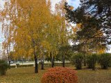Погода в Набережных Челнах на 14 октября