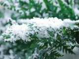 Погода в Набережных Челнах на 14 декабря