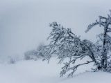 Яр Чаллыда буран һәм бозлавык көтелә