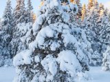 Погода в Набережных Челнах на 14 февраля