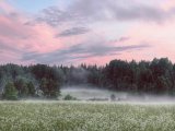 Һава торышы фаразы