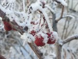 Погода на 19 февраля в Набережных Челнах