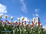 Татарстанда яшен һәм секундына 15-20 метрга кадәр көчле җил көтелә
