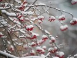 Прогноз погоды на 6 февраля