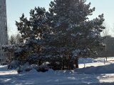 Погода в Набережных Челнах на 10 февраля
