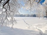 Прогноз погоды в Набережных Челнах на 29 декабря