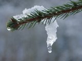 Прогоноз погоды на 18 февраля