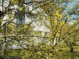 Погода в Набережных Челнах на 30 апреля
