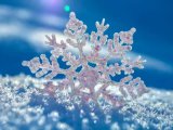 Прогноз погоды на 26 декабря