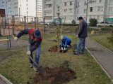 Яр Чаллы территориаль иҗтимагый үзидарәләре "Татарстан Республикасының иң яхшы территориаль иҗтимагый үзидарәсе" конкурсына гариза бирә алалар