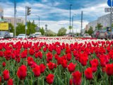 Погода в Набережных Челнах на 13 мая
