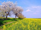 Прогноз погоды на майские