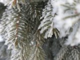 20 гыйнвар көненә һава торышы