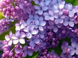 Прогноз погоды на 13 мая