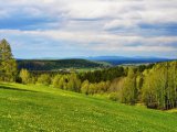 Штормовое предупреждение о высокой пожарной опасности лесов на территории Республики Татарстан