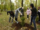 В Набережных Челнах высадят 22 тысяч деревьев и кустарников