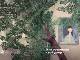 Белгечләр ишегалдын яшелләндерү буенча киңәшләр белән уртаклашты