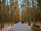 Прогноз погоды на 1 декабря