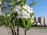 Прогноз погоды на 24 апреля