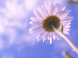 +24..+27˚ прогнозируется в Набережных Челнах