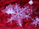 11 февральгә һава торышы фаразы