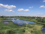 Погода в Набережных Челнах на 18 июня