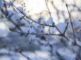 Прогноз погоды в Набережных Челнах на 27 декабря
